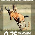 camara fototrampeo izeeker ig200