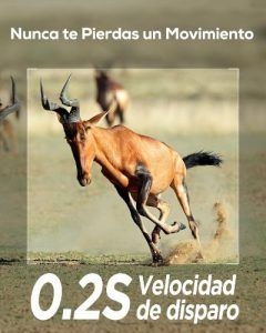 camara fototrampeo izeeker ig200