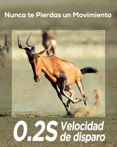 camara fototrampeo izeeker ig200