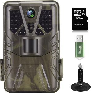 camara fototrampeo caceria