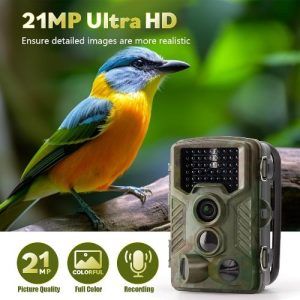 Camara Caza Coolife H881