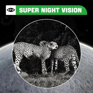 Camara Caza CoolifePro SV-TCQ