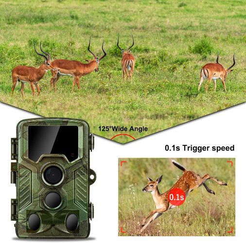 Camara Caza Coolife H881 Wifi