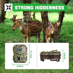 Camara Caza CoolifePro SV-TCQ