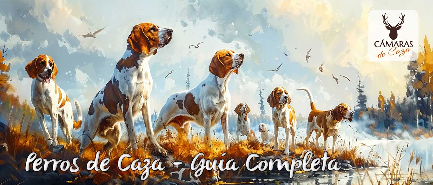 perros de caza guia completa