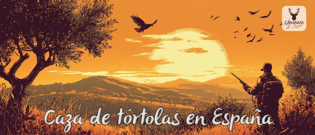16-caza-de-tortolas-en-españa caza de tórtolas en España