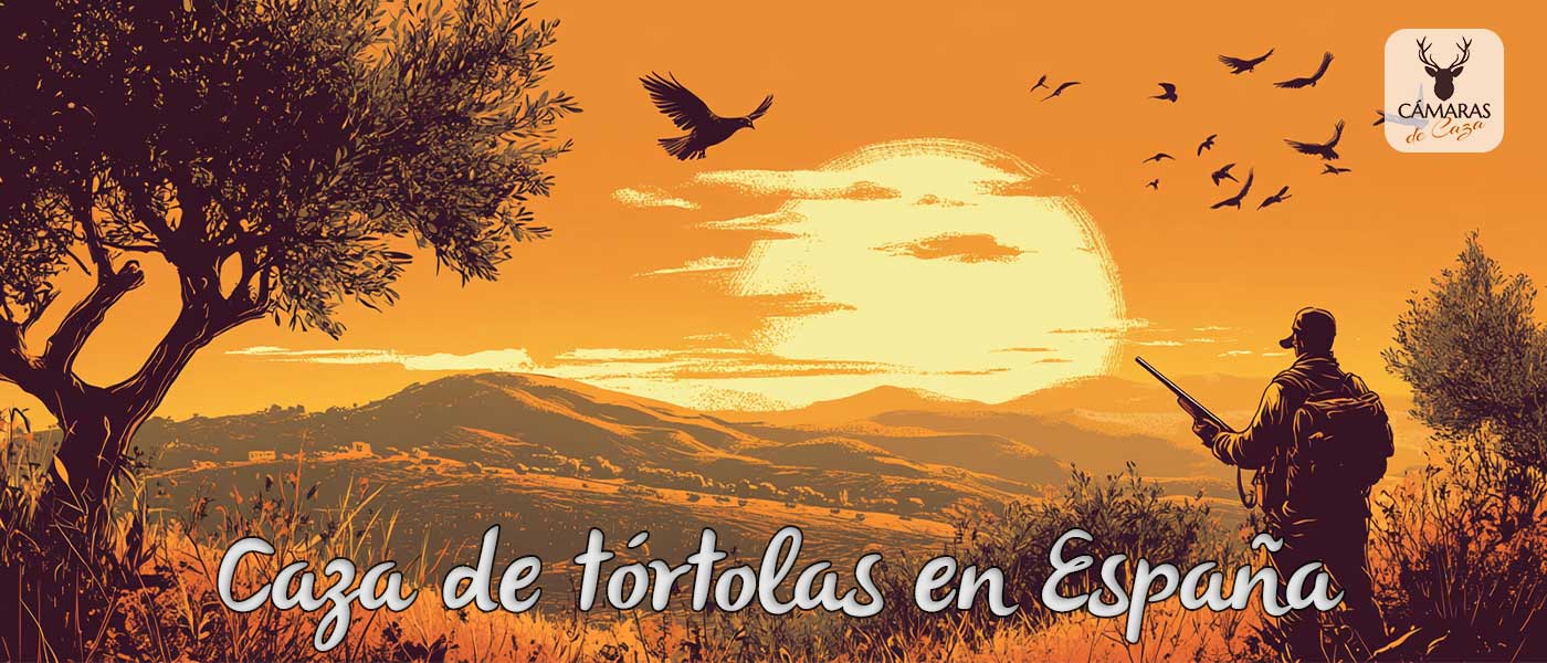 caza de tórtolas en España