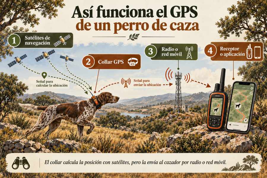 Cómo funciona el GPS de caza